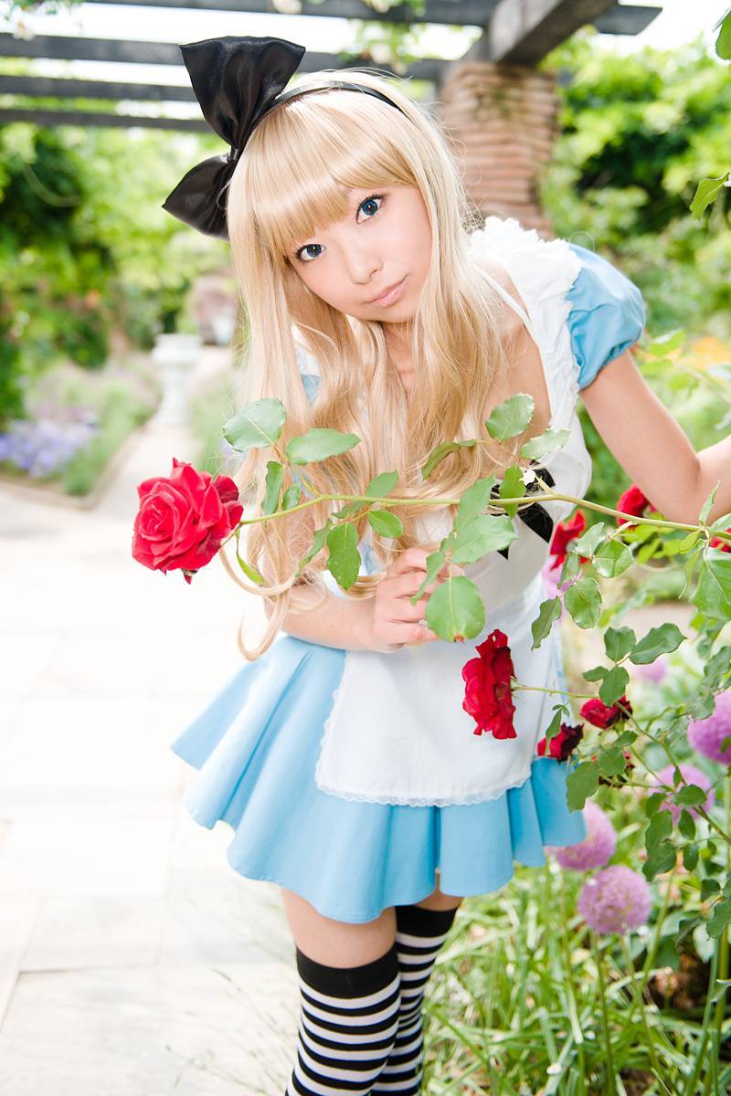 cosplay套图 c78 NECOCO.in.Wonderland